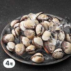 바다자리 서해안 생물 새꼬막 (냉장), 400g, 4개