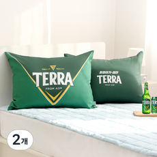 나라홈데코 베개커버 솜포함, 청정라거 테라, 2개