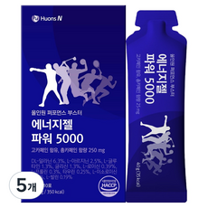 휴온스 에너지젤 파워 5000, 400g, 5개