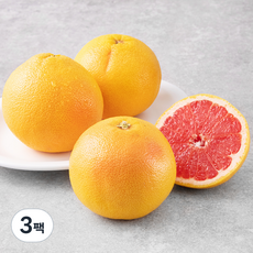 새벽경매 미국산 자몽, 1kg(3입), 3팩