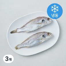 다미원 영광 백굴비 2미 (냉동), 3개, 220g