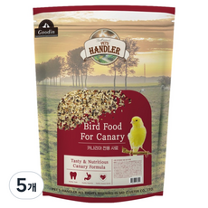펫츠핸들러 조류 카나리아 전용사료, 600g, 5개