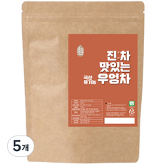 진차 맛있는 국산 유기농 우엉차, 100g, 1개입, 5개