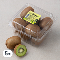 곰곰 국내산 참다래 그린키위, 1kg(중), 5팩
