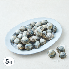 바다림 중국산 생물 동죽조개, 5개, 500g
