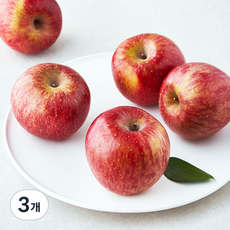 제이드가든 부사 사과 5~6입, 1kg(소과), 3개