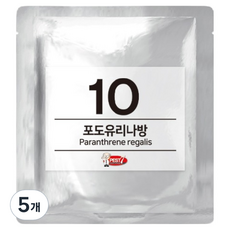 페스트세븐 페로몬 유인제 10 포도유리나방, 5개