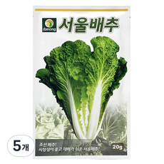 다농 서울 배추 씨앗 20g, 5개