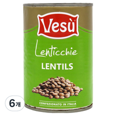 베수 렌틸, 6개, 400g