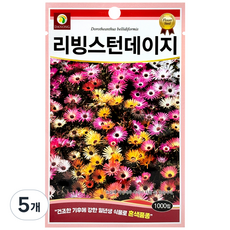 다농 리빙스턴데이지 씨앗 1000p, 5개