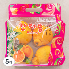 귤탐 한라봉, 1kg(소과/5~6입), 5개