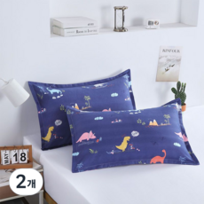 홍시유통 싱글 더블 가정 기숙사 벼개커버 솜포함, 타입2, 2개