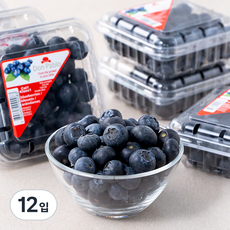 PSK 칠레산 블루베리, 125g, 12팩