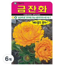 아람종묘 금잔화 꽃 씨앗, 6개