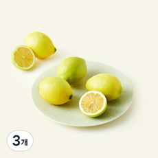 올푸릇 무농약 인증 레몬, 450g, 3개