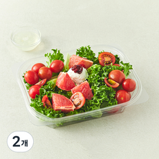 All바른농장 자몽 & 스테비아토마토 리코타 샐러드, 300g, 2개