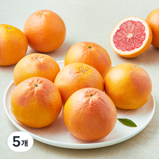 더네이처 이스라엘 자몽, 5개, 3kg