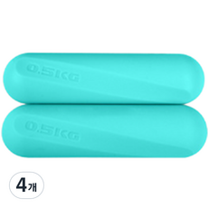 로이윙 EVA 고무 아령 민트 2p, 0.5kg, 4개