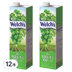 웰치 청포도 주스, 1L, 12개
