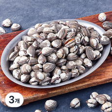 아라보감 산지직송 생물 새꼬막 (냉장), 3개, 3kg