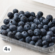 좋은하루 생생 GAP 인증 블루베리, 300g, 4개