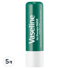 바세린 스틱 케어 립밤, 민트, 4.8g, 5개