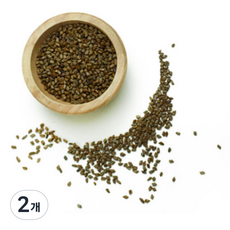 햇살팜 결명자, 600g, 2개