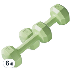 코레시스 예쁜 파스텔톤 홈트용 아령 그린, 6개, 1.5kg