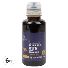 허니랜드 써니 롱안꿀 100%, 500g, 6개