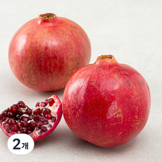 곰곰 미국산 석류 (대과), 1kg(2입), 2개