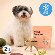 반려소반 미니테린 강아지 화식 300g (냉동), 닭, 2개