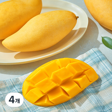태국산 남독마이 망고 XL, 1.1kg(3입), 4개
