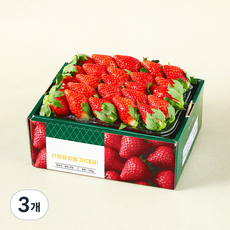 GAP 인증 산청 장희딸기 대, 3개, 750g