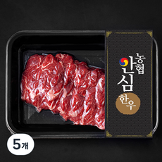 농협안심한우 치마살 1등급 구이용 (냉장), 200g, 5개