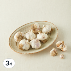 친환경 통마늘, 500g, 3개