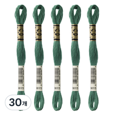 브랜드얀 DMC 자수실 25번 면사, 3815, 30개