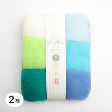 하마나카 브랜드얀 아클렌 펠트 6종 세트 H441-141, 혼합색상(H441-141-6), 2개