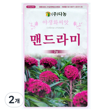 다농 맨드라미 씨앗 2g, 2개
