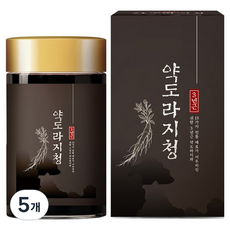 참앤들황토농원 3년근 약도라지청, 250g, 6개