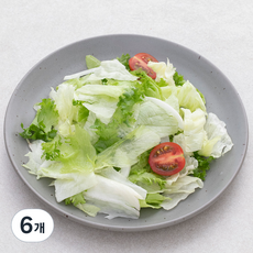 무농약 인증 국내산 후레쉬가든 샐러드, 250g, 1개, 6개, 250g