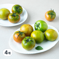 올푸릇 저탄소 대저짭짤이 토마토, 4개, 800g