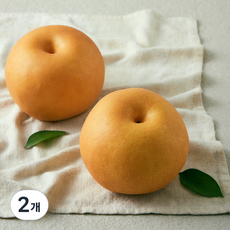 원농산 당도선별 신고배 2입, 1kg, 2개