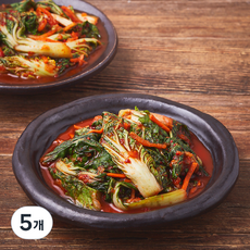 모산김치 갓담근 시원한 보리 얼갈이 김치, 1.5kg, 5개