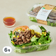 프레밀 불고기 분짜 샐러드, 260g, 6개
