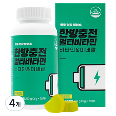 니몸내몸 한방충전 멀티비타민 젤리 210g, 70정, 4개