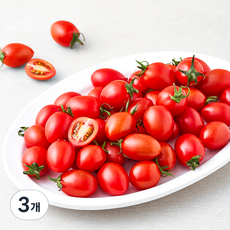 제이드가든 무농약 대추방울토마토, 1kg, 3개