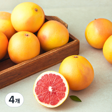 더네이처 남아공산 자몽, 4개, 3kg