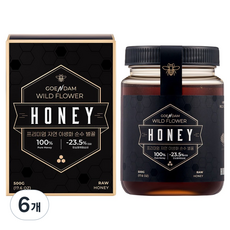 고은담 프리미엄 자연 야생화 순수 벌꿀, 6개, 500g