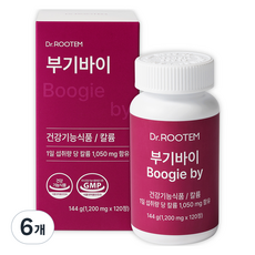 닥터루템 정품 부기바이, 120정, 6개