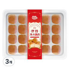 데일리포켓 한입 카스텔라, 560g, 3개